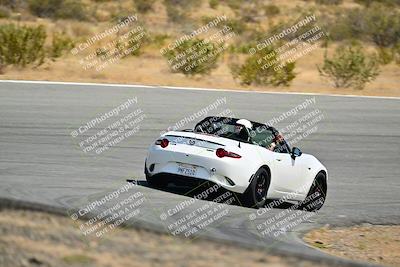 media/Jun-01-2025-VIP Trackdays (Sun) [[b20349723e]]/A Group/Session 2 (Turns 7 and 8)/